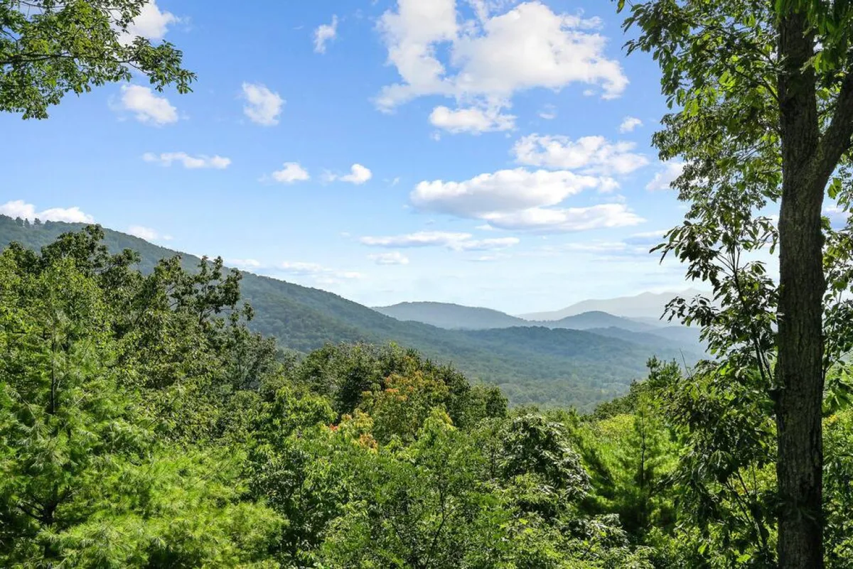 A wide mountain view with lush greenery stretching across the foreground and a dramatic, cloud-filled sky overhead. The landscape offers a sense of the expansive natural beauty surrounding Asheville and hints at opportunities for hiking, bird watching, and exploring outdoors.